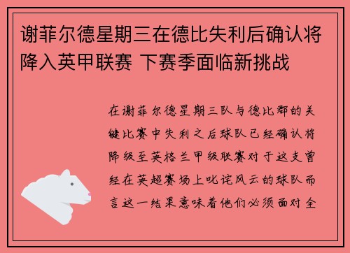 谢菲尔德星期三在德比失利后确认将降入英甲联赛 下赛季面临新挑战